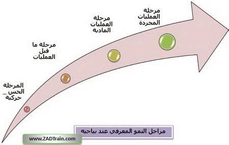 مراحل بياجيه للتطور المعرفي |  PDF - Scribd