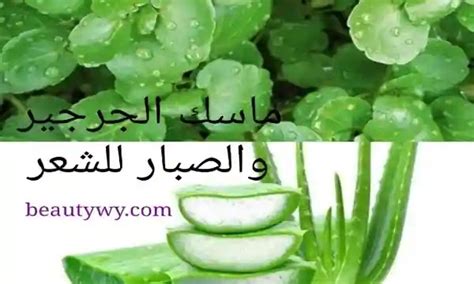 مزيج الجرجير والأفوكادو والصبار للشعر الطويل