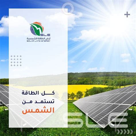 مستوى المغذيات الذي يستقبل الطاقة مباشرة من الشمس