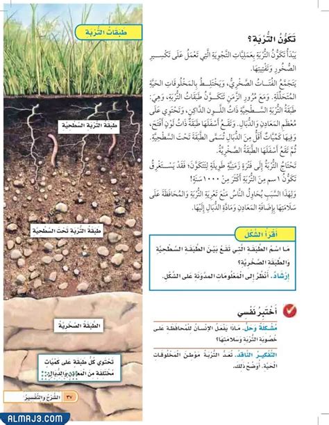 مطوية على الجزء السفلي من ملف pdf الأساسي الثالث