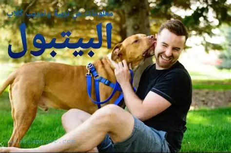 معلومات عن تغذية وتدريب وتربية الكلاب: معلومات عن تغذية وتدريب وتربية الكلاب: