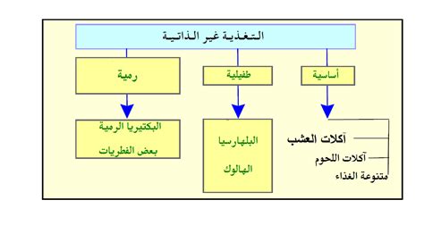 معنى ذاتية التغذية وغير ذاتية التغذية