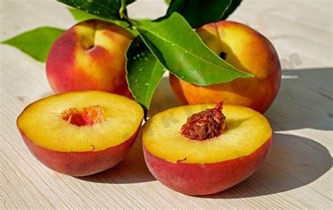 معنى رؤية وأكل الخوخ في حلم المرأة الحامل وتفسيرها معنى رؤية وأكل الخوخ في حلم المرأة الحامل وتفسيرها