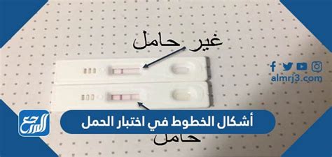 معنى سطرين في اختبار الحمل أحدهما ثقيل والآخر خفيف معنى سطرين في اختبار الحمل أحدهما ثقيل والآخر خفيف
