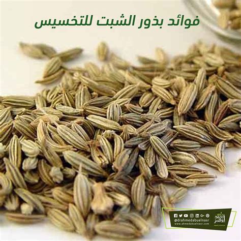 مغذيات بذور الشبت