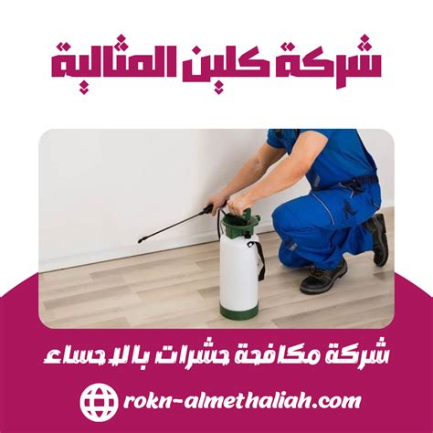 مكافحة الحشرات الطائرة مع شركة مكافحة حشرات بالأحساء