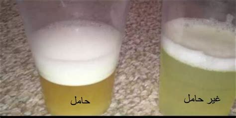 من الذي جرب اختبار الحمل بالملح؟ من الذي جرب اختبار الحمل بالملح؟