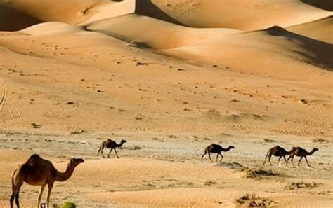 من المعروف أن السعودية بها صحارى ومناطق مرتفعة ومنخفضة وتتكون من موارد طبيعية أغلبها غاز ونفط، والشمس دائما حارة في المناطق الصحراوية ولا يستطيع أحد المشي فيها.