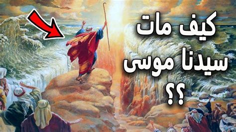 من معجزات موسى عليه السلام إلى رسائل فرعون السبع - حلول كاملة