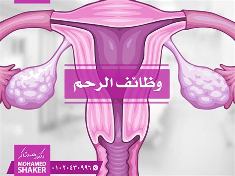 من هو الذي مع الرحم قاس