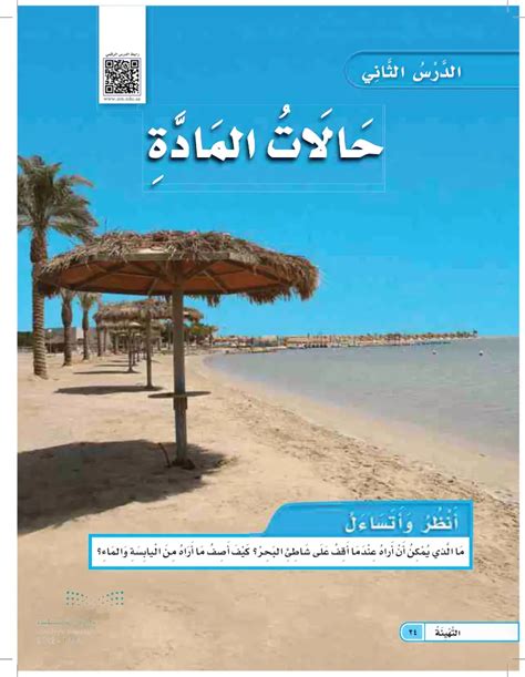 من يمكنني رؤيته عندما أقف على الساحل؟  كيف أصف ما أراه من الأرض والمياه؟