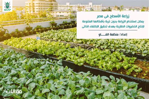 منذر أحب الزراعة واهتم بها لأن الزراعة من هواياته المفضلة لأنه يهتم بها كثيرًا ويخصص لها الكثير من الوقت بعد التعليم الإجباري.