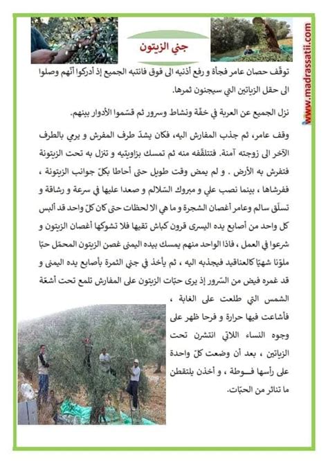 موضوع نسخة مطبوعة عن قطف الزيتون كاملة بالعناصر