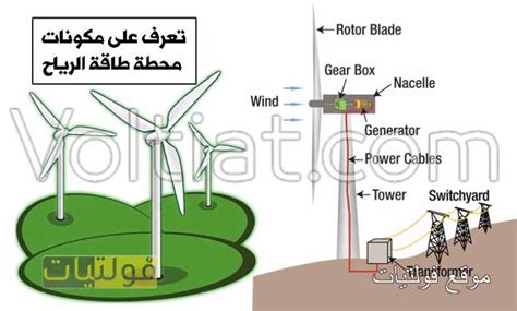 موقع الشوبك مناسب لتوليد الكهرباء من طاقة الرياح والسبب موقع الشوبك مناسب لتوليد الكهرباء من طاقة الرياح والسبب