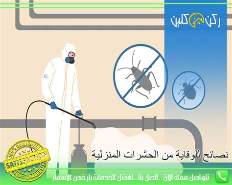 نصائح شركة مكافحة الآفات للوقاية من الحشرات المنزلية