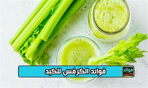 نصائح مهمة حول كيفية تناول الكرفس المطبوخ لنظامك الغذائي