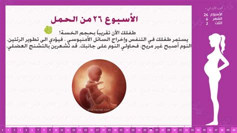 نصائح مهمة للتخفيف من الإمساك في الأسبوع 26 من الحمل نصائح مهمة للتخفيف من الإمساك في الأسبوع 26 من الحمل