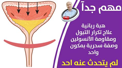 نصيحة للأم كي تساعد أطفالها على التبول بانتظام نصيحة للأم كي تساعد أطفالها على التبول بانتظام