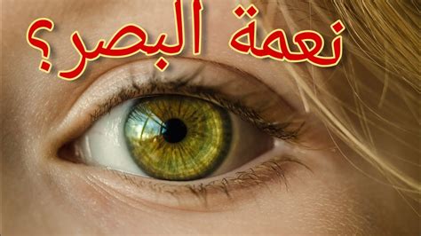 نعمة البصر من أعظم النعم ويجب الحفاظ عليها أثناء استخدامك للكمبيوتر.  يجب أن يكون الموضع الصحيح لموضع العين باتجاه الجزء العلوي من الشاشة