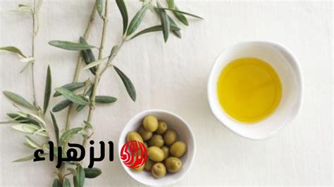 نغمات الزيتون في الملابس
