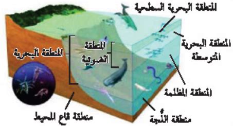 نقص الحديد في المنطقة المضيئة من المحيط المفتوح يقلل من حجم أعداد العوالق