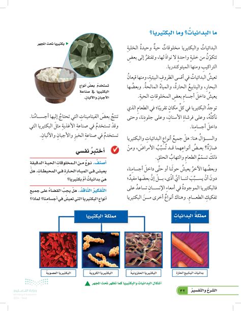 نوع من البكتيريا يعيش في المياه الدافئة للمحيطات. هل هي طفيليات أم بكتيريا؟ نوع من البكتيريا يعيش في المياه الدافئة للمحيطات. هل هي طفيليات أم بكتيريا؟