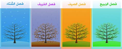 هذه هي الطريقة التي تحمي بها البشرة في جميع الفصول الأربعة