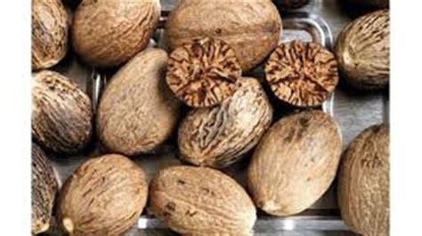 هل تداول جوزة الطيب مسموح به وكيف يتم التحكم فيه؟