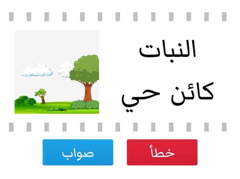هل تشرح الدور أو المكانة التي يلعبها كائن حي في بيئته؟
