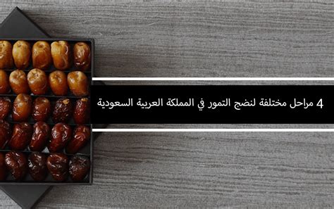 هل تقترحون أي حشوات أخرى مختلفة يمكن استخدامها في التمور؟