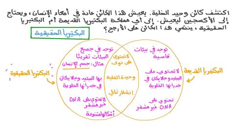 هل تنتمي جميع الكائنات أحادية الخلية إلى مملكة البكتيريا؟  هل هذا البيان صحيح أم خطأ؟