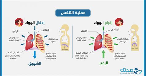 هل سمعت عن حالة تلقيت فيها تهوية ميكانيكية ونجحت بحمد الله مع معلمك وزملائك؟