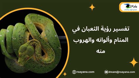 هل يختلف تفسير رؤية ثعبان ملونًا للأفراد؟ هل يختلف تفسير رؤية ثعبان ملونًا للأفراد؟