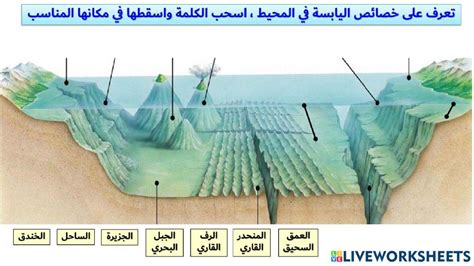 هل يستخدم قوقعته للتمويه والاختباء في قاع المحيط؟