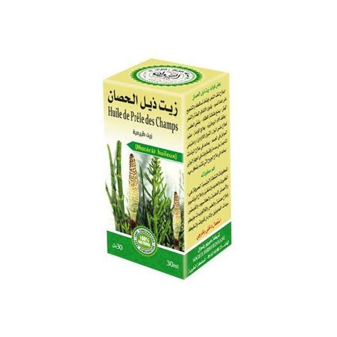 هل يعالج ذيل الحصان التهابات الكلى؟
