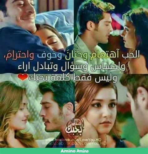 هل يفهم المرسل إليه كلام الشاعر هنا؟  ومن يجب أن يفهم الكلام؟