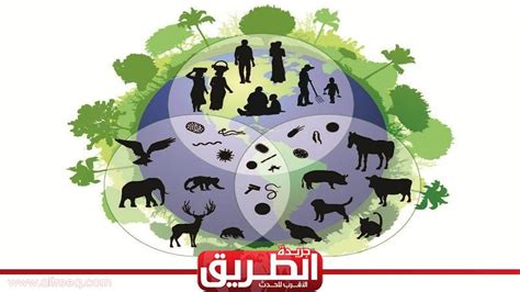 هل يمثل توفير الغذاء قيمة اقتصادية مباشرة للحفاظ على التنوع البيولوجي؟