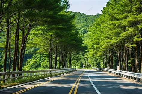هناك 9 أشجار زينة على كل جانب من الطريق وبعد قطع بعضها لم يتبق سوى 7 أشجار على كلا الجانبين، كم عدد الأشجار التي تم قطعها؟