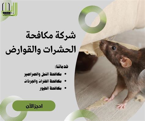 هناك العديد من الأسباب التي تدعم وجود الفئران في المنازل وتجذبها للبقاء بالداخل وهذه الأسباب هي:
