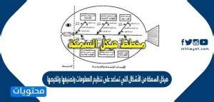هيكل السمكة هو أحد الأشكال التي تساعد في تنظيم المعلومات وتصنيفها وتلخيصها.