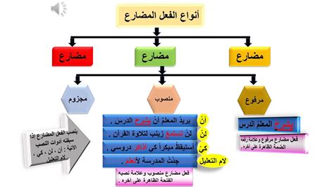 والدك لم يأت.  الفعل المضارع مع التشديد في الجملة السابقة هو sukoon.  حذف حرف العلة.  على سبيل المثال