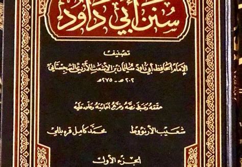والكتاب الذي اشتهر مؤلفه بدراسته المكثفة لرجال كتب السنن هو سنن….