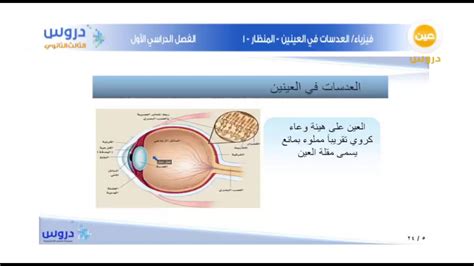 وحدة قياس قوة العدسات المكونة من 6 أحرف الفتح - يا عرب أسئلة وأجوبة |  حلول لجميع الطلبات