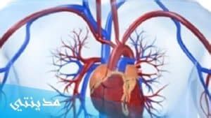 وداعًا لعمليات القسطرة، وهي علاج لفتح شرايين القلب المسدودة
