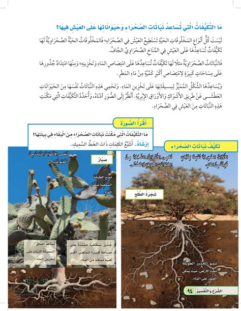 وصف التكيفات التي تساعد المفصليات على العيش في بيئة جبلية باردة ذات تيارات هوائية قوية وأعشاب بطيئة النمو ووفرة من الطيور الآكلة للمفصليات. وصف التكيفات التي تساعد المفصليات على العيش في بيئة جبلية باردة ذات تيارات هوائية قوية وأعشاب بطيئة النمو ووفرة من الطيور الآكلة للمفصليات.