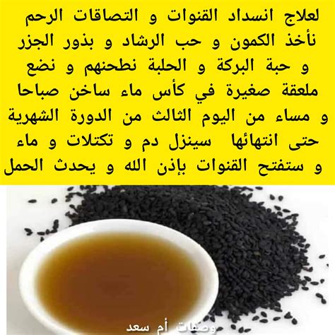 وصفة الحلبة و حبة البركة لتسريع الحمل