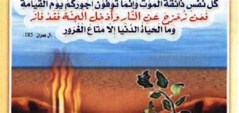 ويقال إن من مات ليلة الخميس يموت شهيداً وينجو من عذاب القبر.  ما هو الدليل