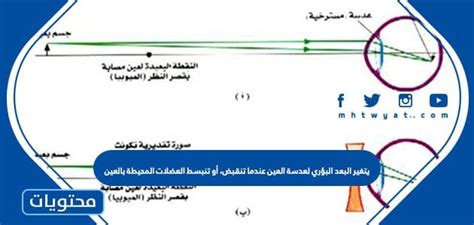 يتغير البعد البؤري لعدسة العين مع تقلص العضلات المحيطة بالعين أو استرخائها