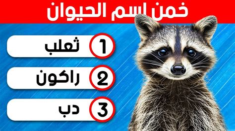 يتكون اسم الحيوان من أربعة أحرف، الأحرف الثانية والثالثة والرابعة مقدسة، والحرف