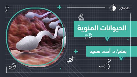 يتم إدخال حوالي حيوان منوي إلى الأنثى، لكن يتم تخصيب واحد فقط.